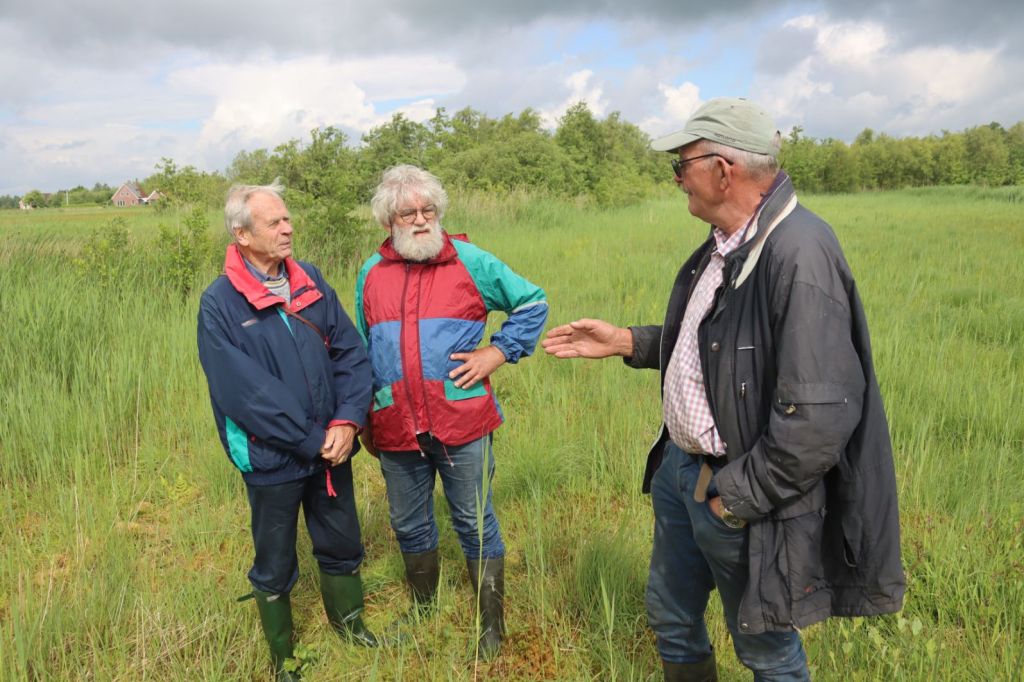 De Staat van de Nederlandse Natuur: Een Andere Kijk op de Stikstofcrisis (Henk&nbsp;Rampen)