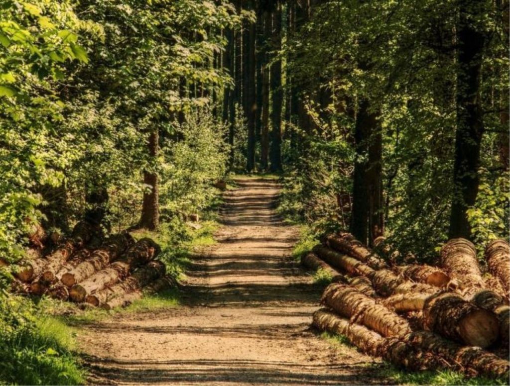 Maatwerk met Meetwerk: Een diepgaande analyse van stikstofmetingen in het Liefstinghsbroek